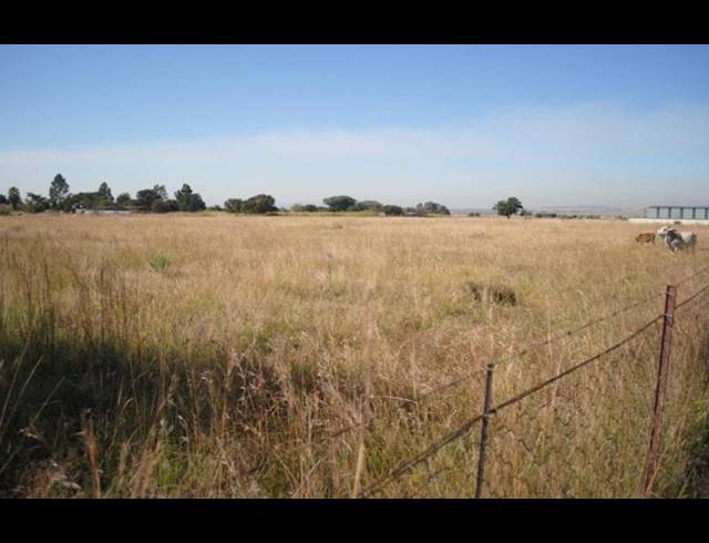 FARM FOR SALE IN HELDERSTROME